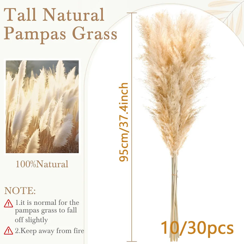 Natural Dried Real Pampas Grass Large Fluffy Tall Stems 10/30pcs for Floor Vase Living Room Bedroom Home Decor Wedding Centerpiece Bridal Bouquet Boho Rustic Farmhouse Fall Thanksgiving Decor Plumas De Pampas - view 5