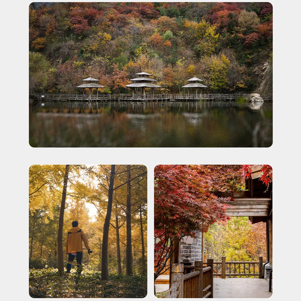 Lightdow ręczne ustawianie ostrości 35mm F2.0 stała gęstość wiązki obiektyw obiektyw do Nikon pełnoklatkowy D850 D7300 D7100 D750 D610 D3400 D5200 D90 obiektyw makro