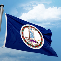 Virginia Flag 3*5FT 90*150CM USA States Flags Design Custom Indoor Outdoor Decor Banners  Polyester UV Resistance Double Stitch