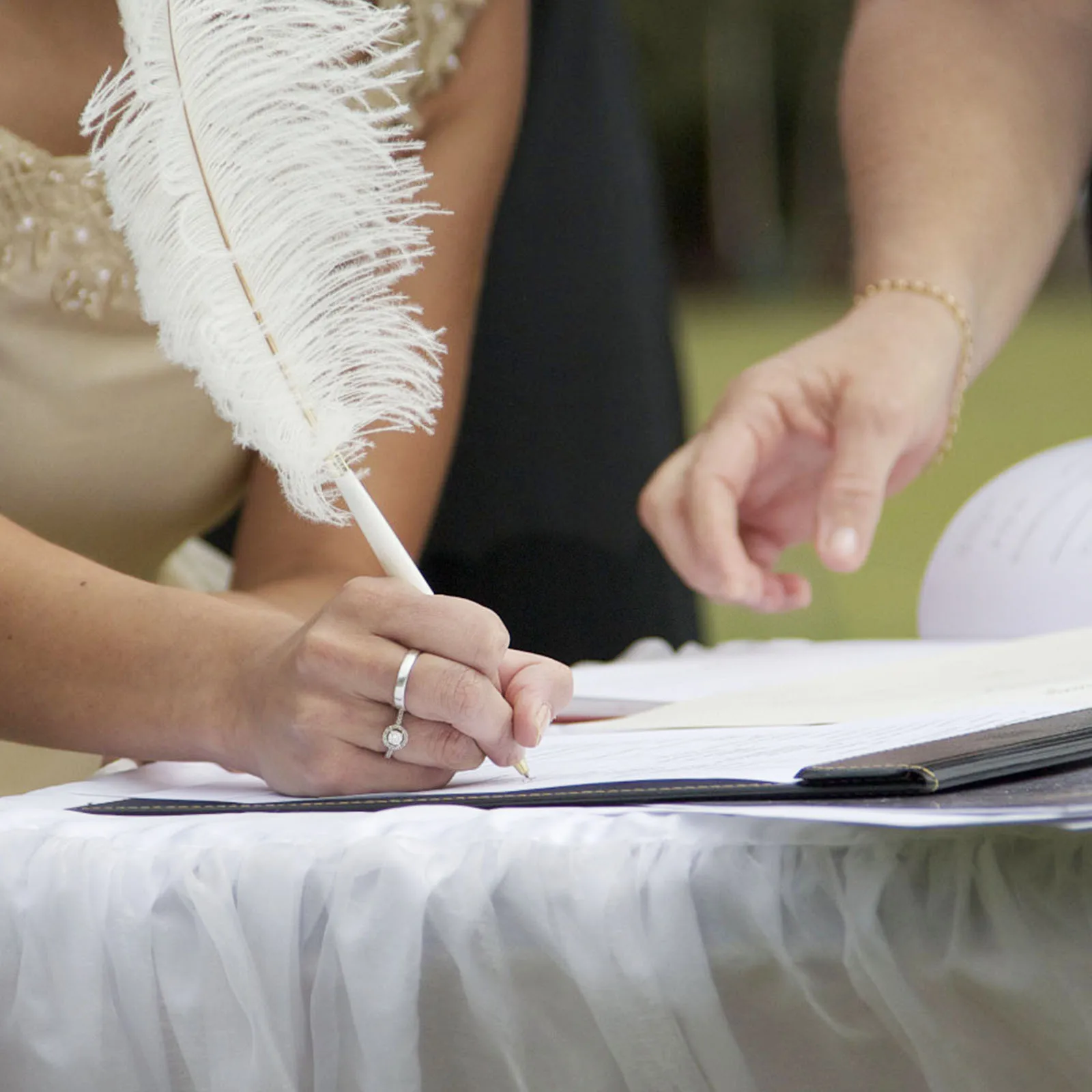 

Long Guest Reception Signing With Metal Stand Ostrich For Wedding Reception Rotating White Ostrich Pen