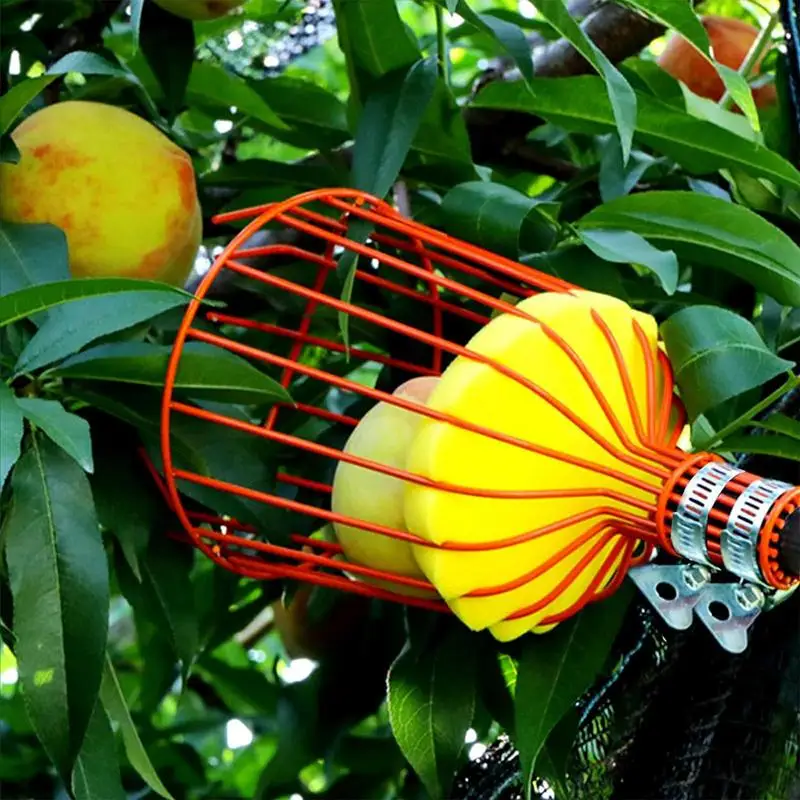 Fruit Picker Pole With Basket Gardening Apple Peach Loquat Bayberry Telescopic Picking Tool Portable Garden Basket Fruit Picker