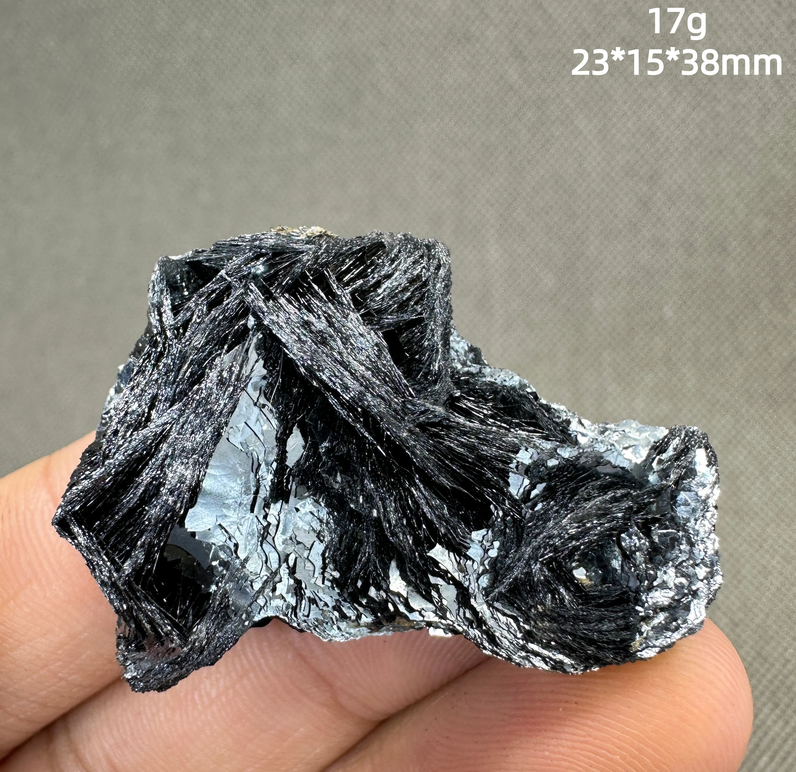 17 G Natural Specul… - image