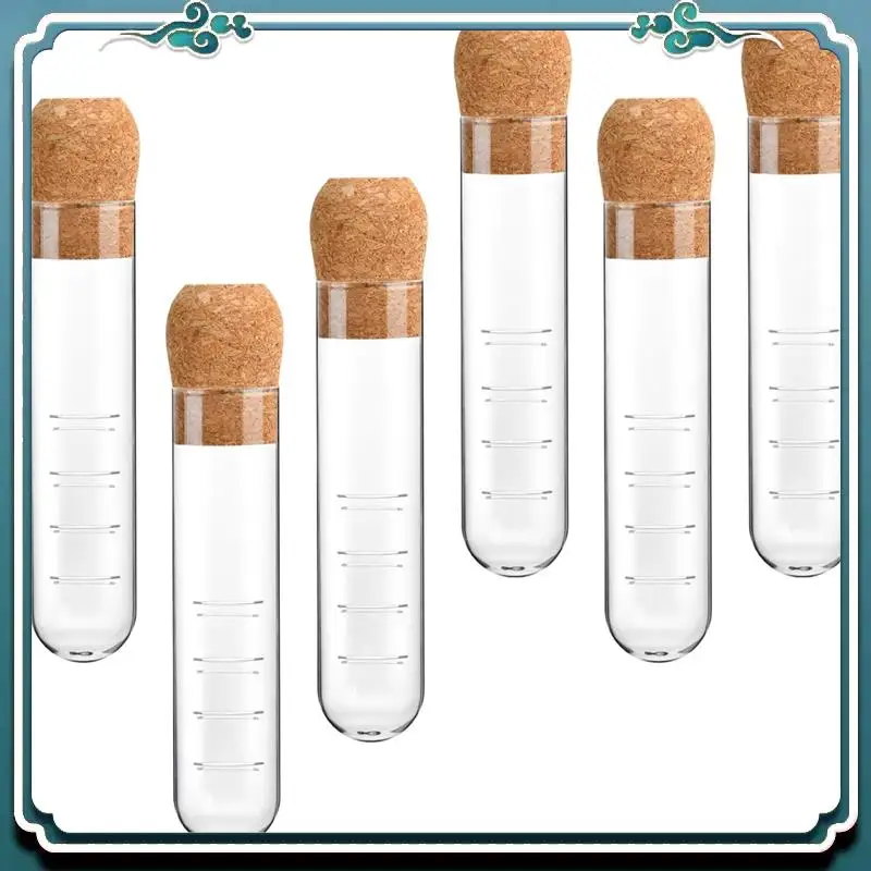 6Piece Glass Tea Infuser Glass Strainers With Cork Lid Reusable Glass Diffuser For Tea,Clear Tea Strainer For Cups,Mugs