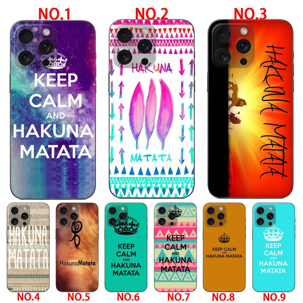 casing  for iPhone 16E 17E SE4 17 17 air 17 Pro 17 Pro Max 5 5S SE 2016