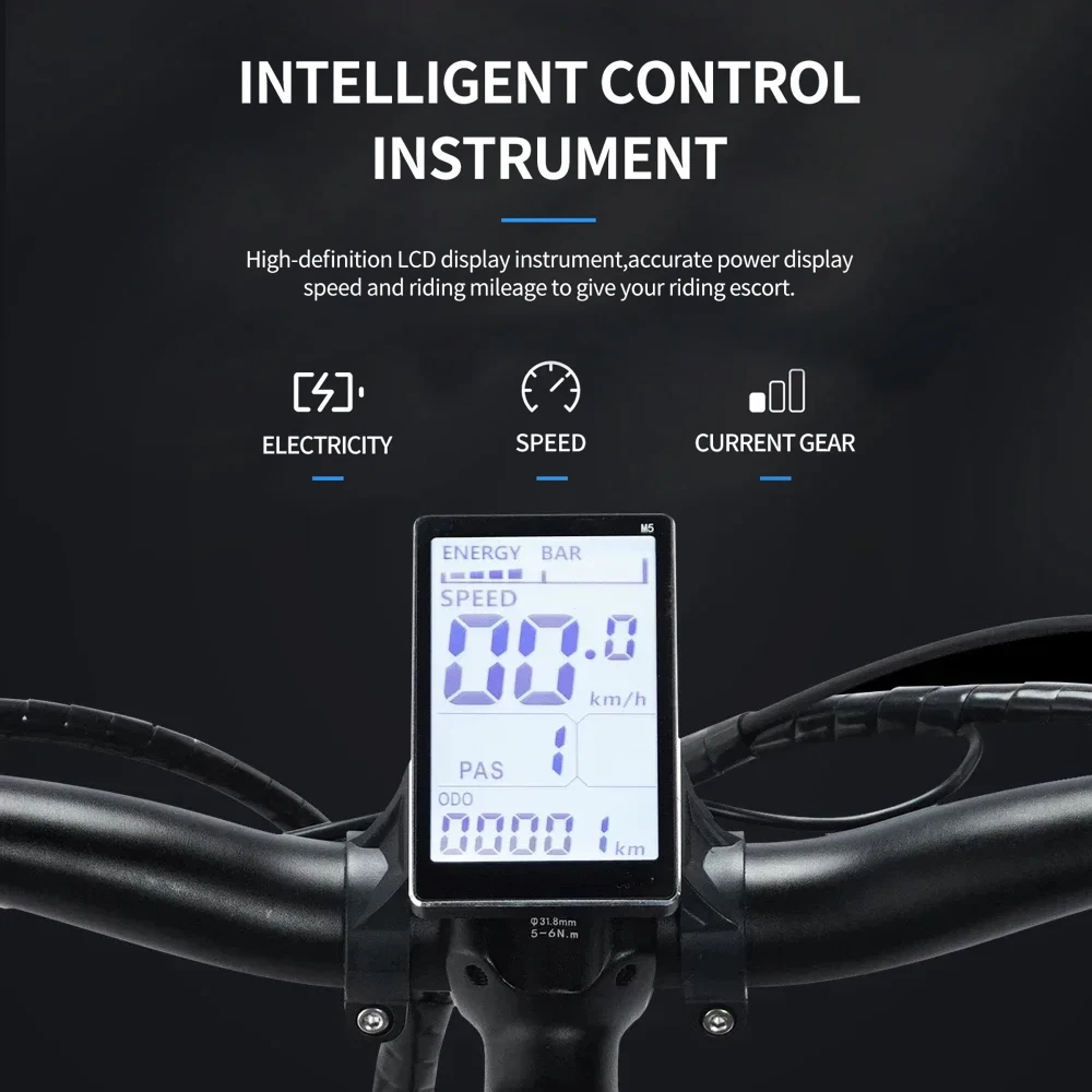 Bicicleta Eléctrica Ridstar H20, Motor de 1000W, Batería de 48V 15Ah, 90N.M, Bicicleta Eléctrica Plegable para Adultos, 45km/h, Bicicleta Eléctrica de Montaña