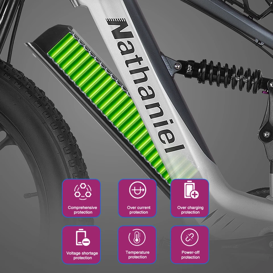 Nathaniel Snow&Sand E-Bike 2000W Dual Motor,26*4.0 Fat Tire,48V 20Ah Detachable Battery, 55KM/H, Soft-tail Mountain E-bike image 10