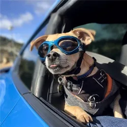 Gafas de sol plegables para perros ajustables anti-UV visión clara