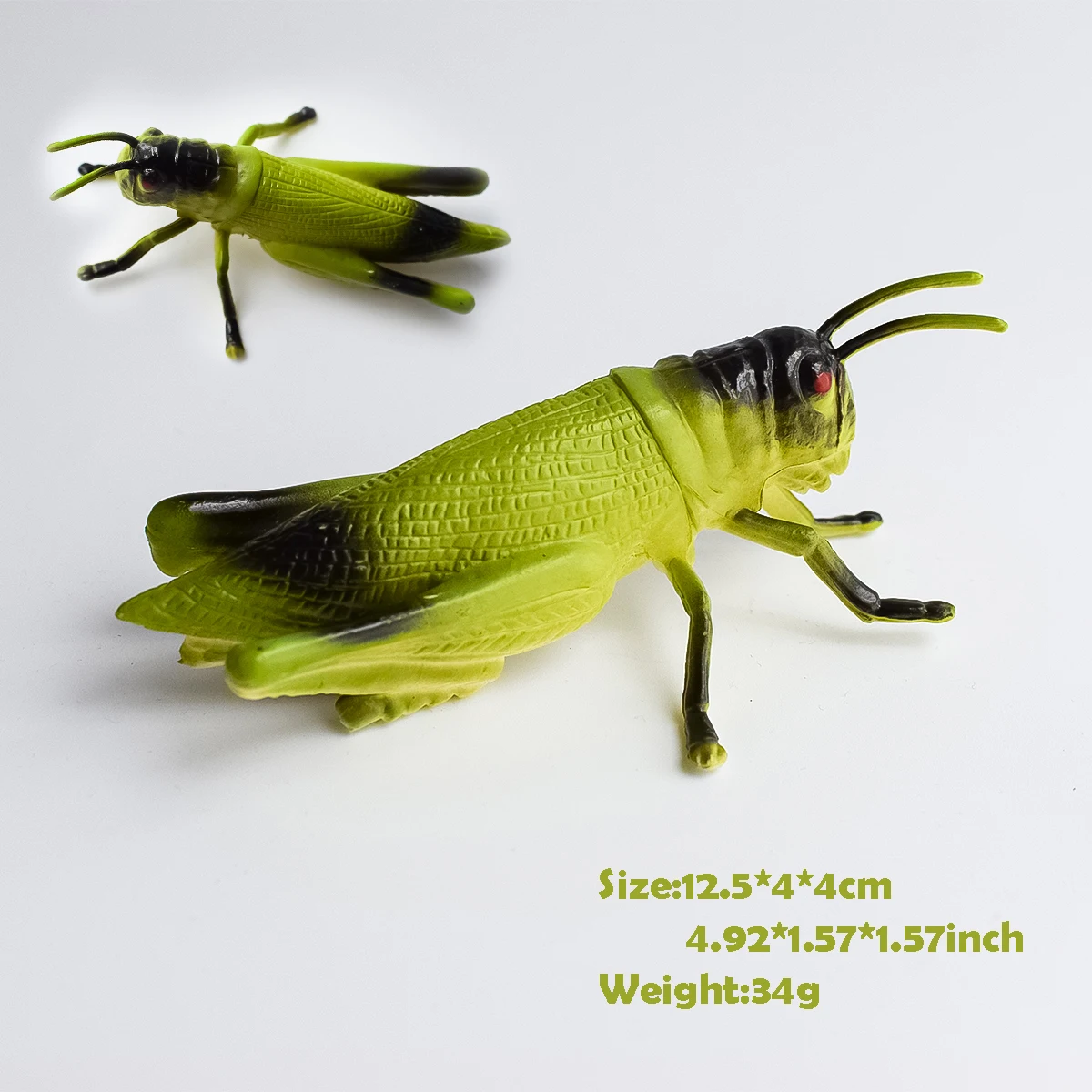 2 Types of Simulated Insect Models | Locusts | Garden Decoration Ornaments | Desktop Decorations | Teaching Aids | Children's Understanding of Insects | Early Education at Home | Birthday Anniversary Party Holiday Gifts | Halloween, Christmas, Hanukkah, Easter, Day of the Dead, Winter Gifts | Festive Atmosphere Decorations