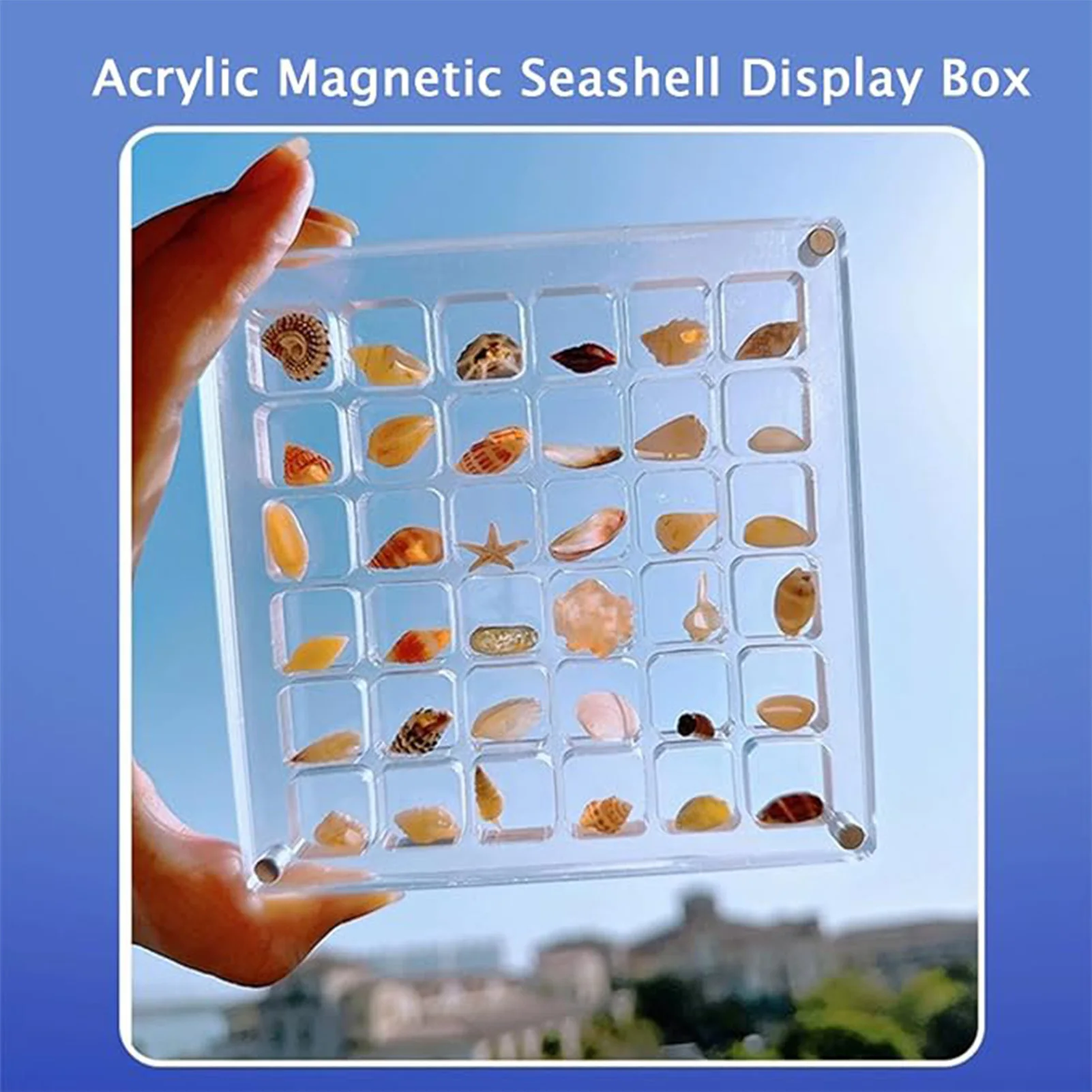 Acrylic Magnetic Seashell Display Box Large Capacity Storage Box Tray with Lid for Birthday Gifts New Year's Gifts