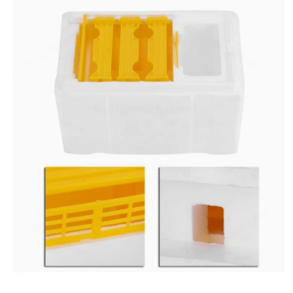 Queen Bee Mini Box Plastic for Backyard Greenhouse Commercial Bee Farm Queen Rearing Maintenance Accessory