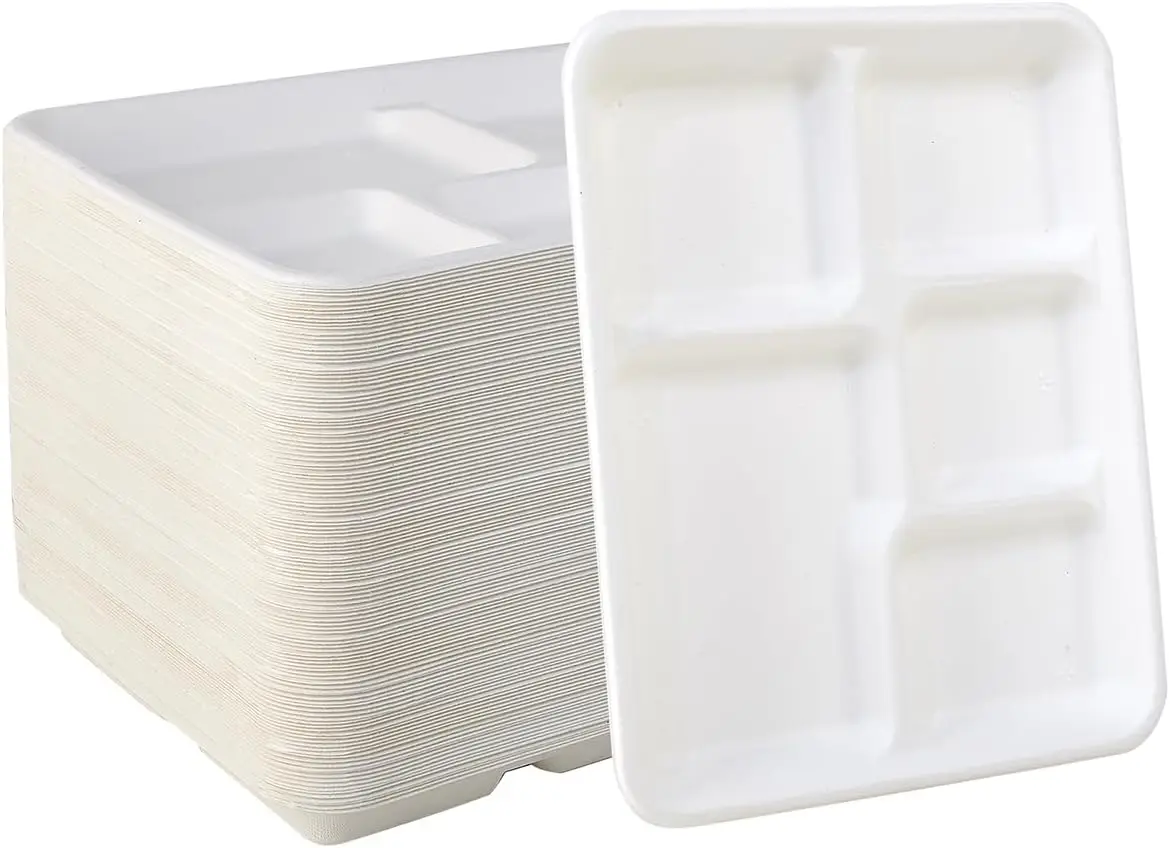 

Eco-Friendly 5-Compartment Disposable Plates, 125 Pack, Sugarcane Fiber, 10x8 Inch for School Lunch & Events