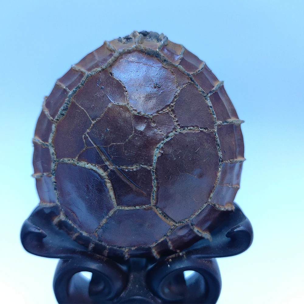 

HzzzR Collection Stones Cadeau Homme Moire Stone Crystals Natural Rough Stone Asian Natural Stones Gifts Sculpture Stone