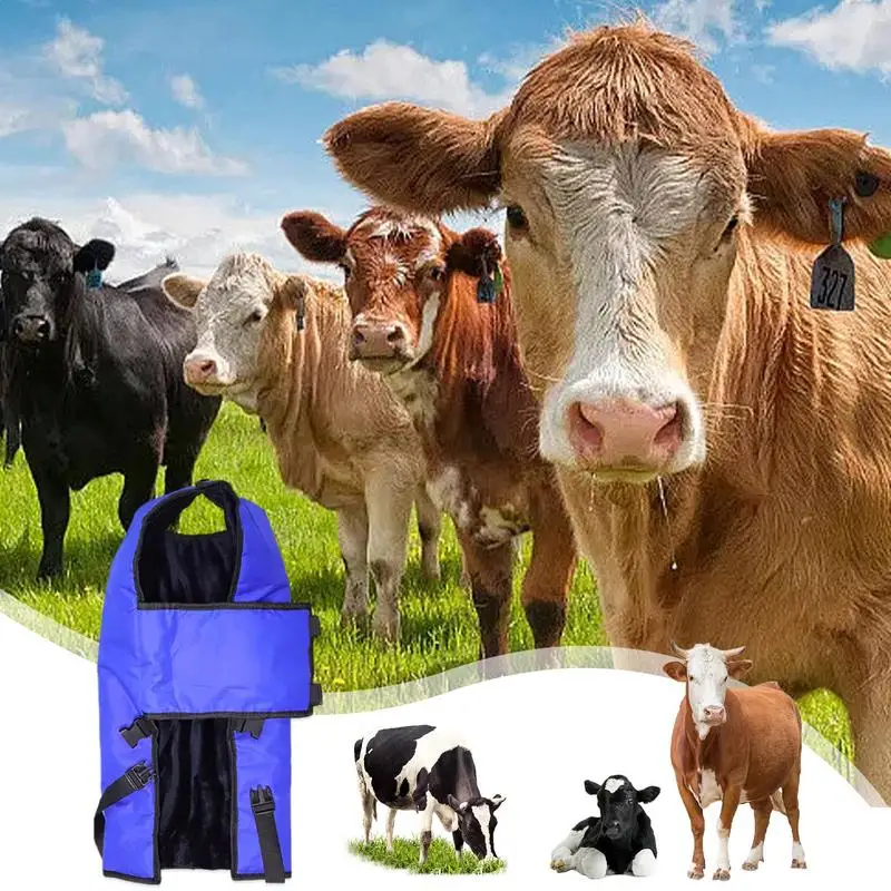 Calf Blanket Blue Waterproof Livestock Protector Blanket Soft Oxford Windproof Calf Warmer Jacket Thickened Calf Saver Coat