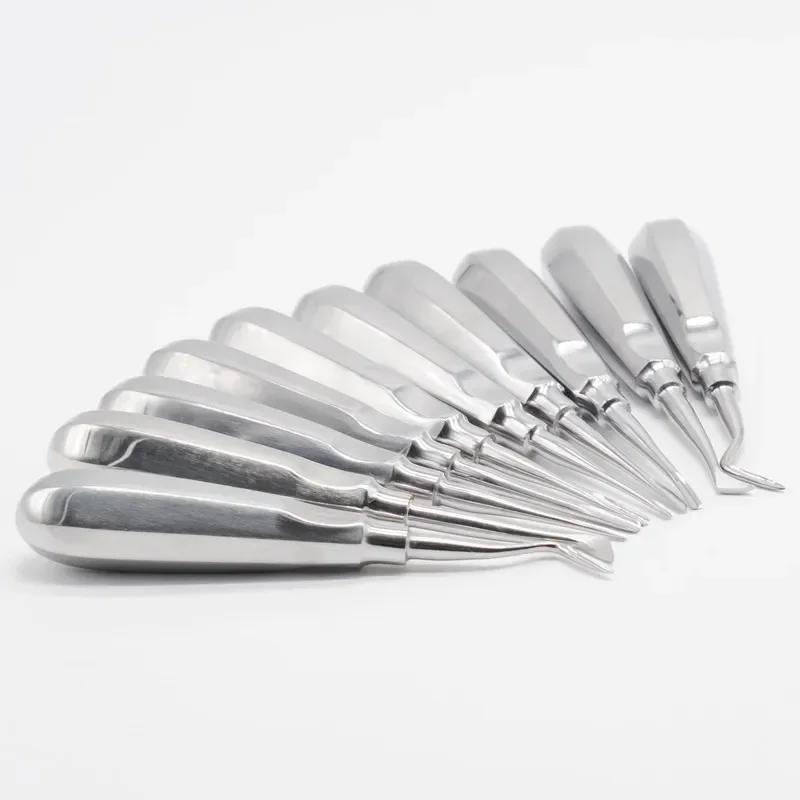 Dentistry Stainless Steel Luxating Lift Elevator Clareador Curved Root Hexagon 1Set/10Pcs