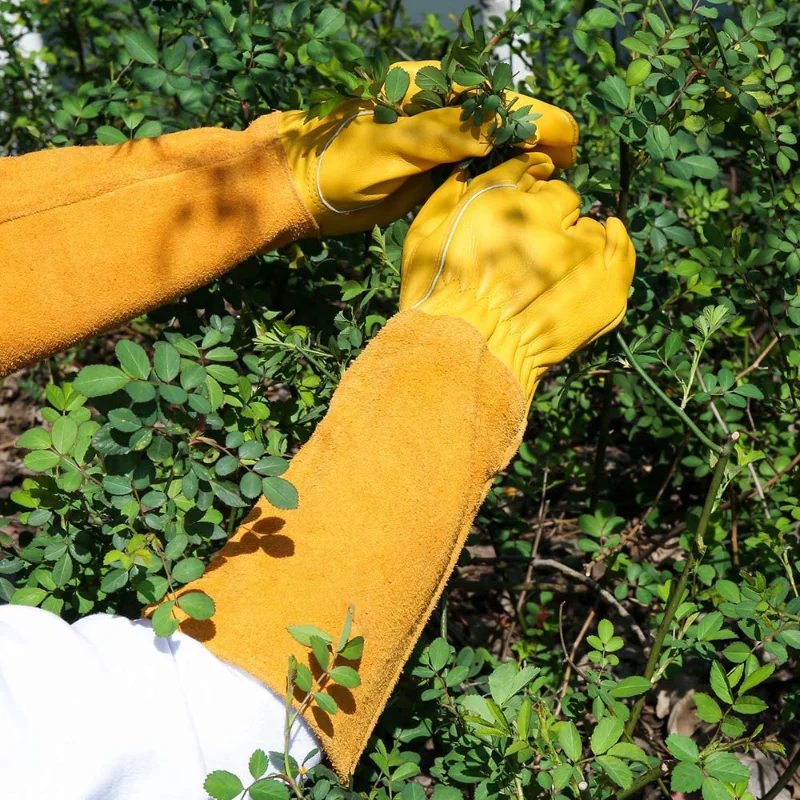 Gants de jardinage en cuir à manches longues, gantelet respirant, gantelet floral, degré de perforation, taille de rose