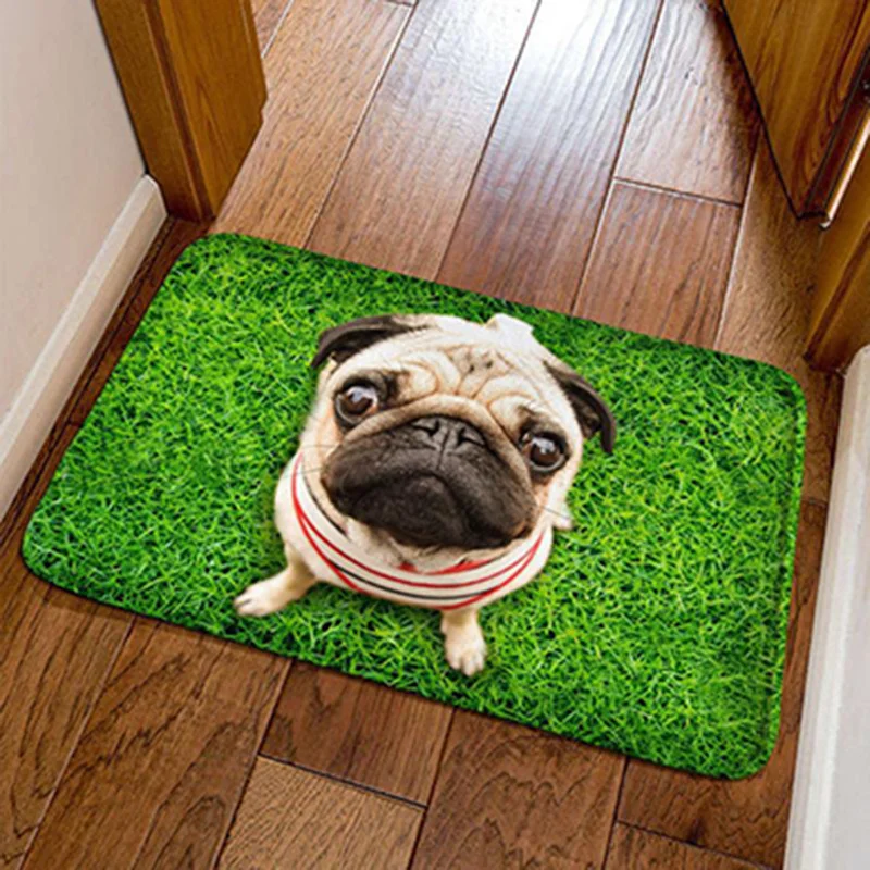 3D Flannel Printed Cute Pug Dog Entrance Doormat Floor Carpet Bathroom Bedroom Door Mat Bedside Rug Home Decor Kitchen Balcony