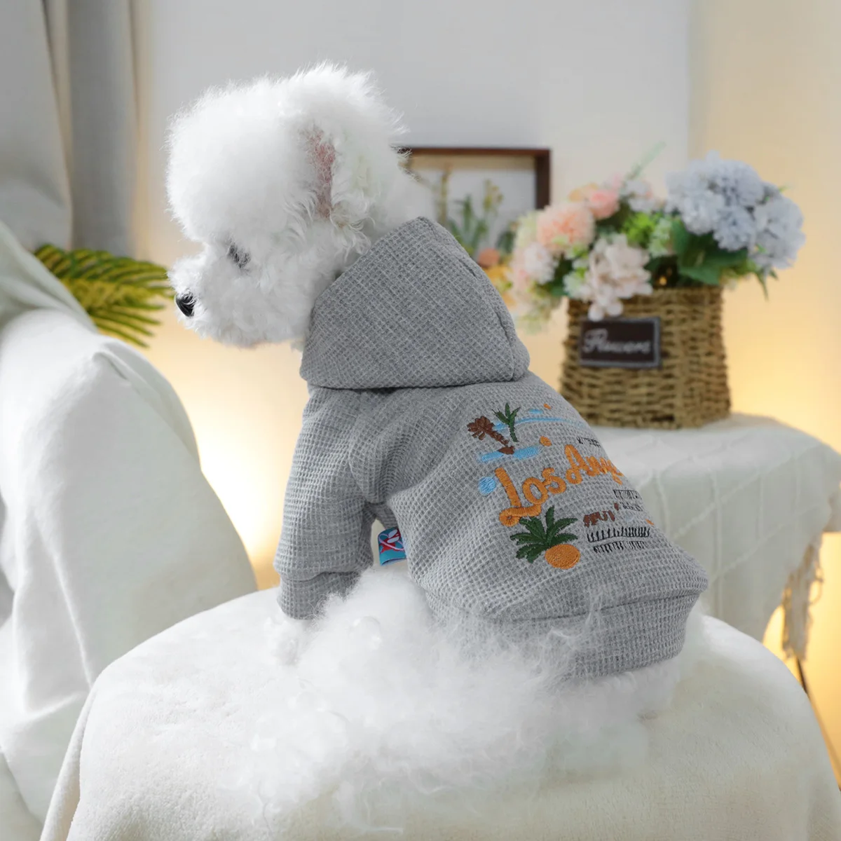 1PC pet clothing dog spring and autumn gray sun California hat jacket is suitable for small and medium -sized dogs