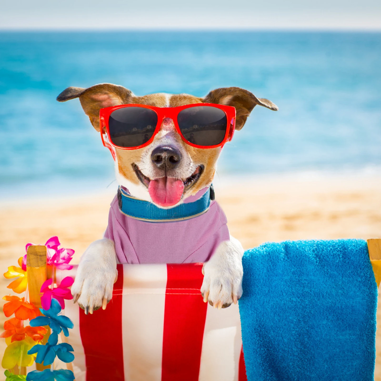 

4pcs Pet T-Shirt Vest For Small Dogs Cats Lightweight Summer Outfit Dog Apparel Breathable Pullover Comfortable Wear