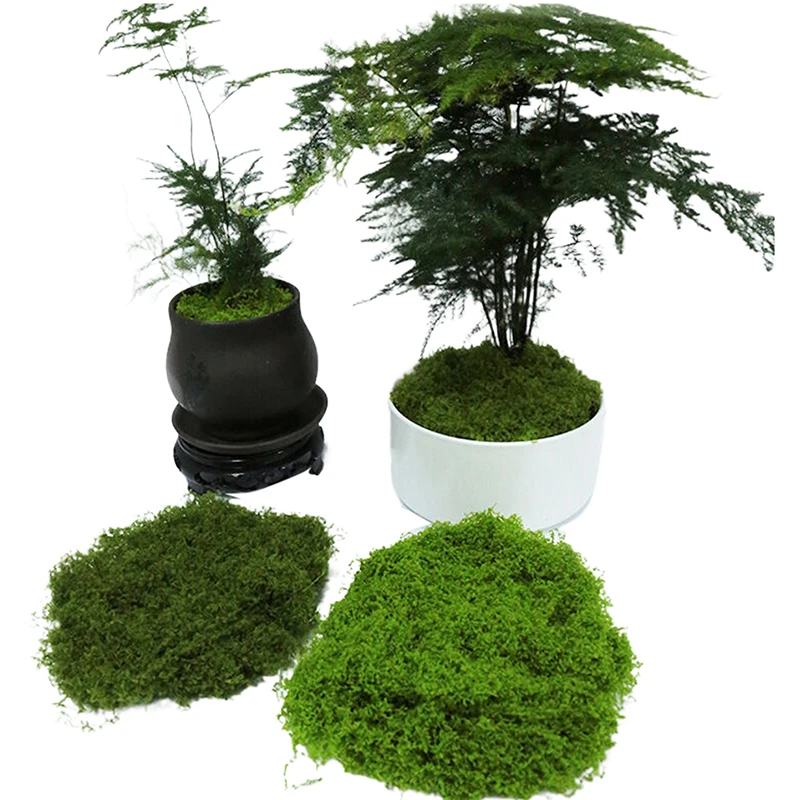 100g Fake Plants Home Decor Simulated Moss Turf Biomimetic Artificial Moss Garden Micro Landscape Layout Ornaments Lawn Bonsai