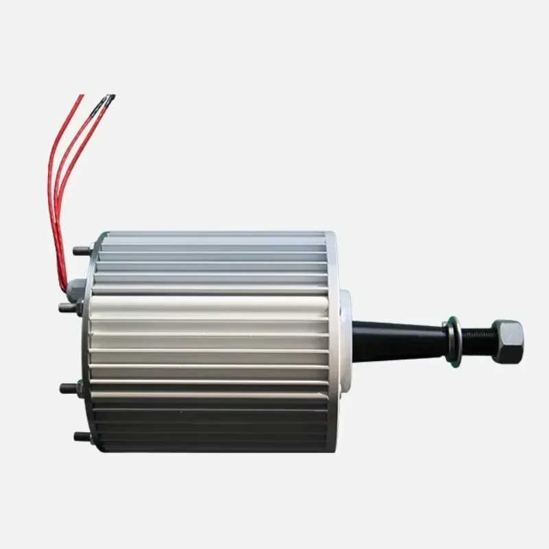 Low rpm 1kw 48V 220V AC Wind turbine