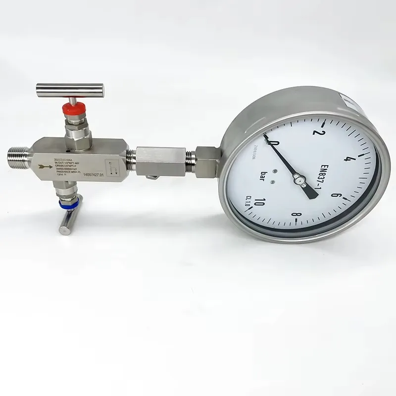 

Factory 40 MPa SS316 Pressure Gauge Damper 1/2 NPT 1/2 BSP Adjustable OEM