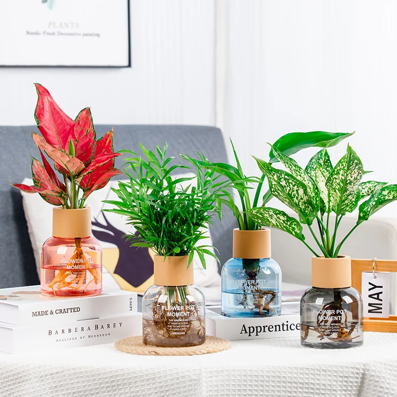 Creative, glass-like transparent resin vase, modern and minimalist living room decoration, suitable for hydroponic plants and fl