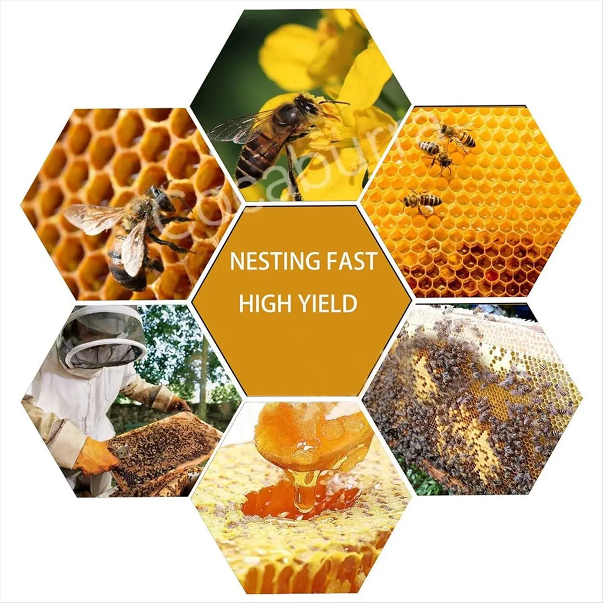 (A89Z] 30Pcs Bee Hive Foundation Sheets, Deep Beeswax Foundation Sheets for Bee Frames Beekeeping Tool 41.5x19.5cm