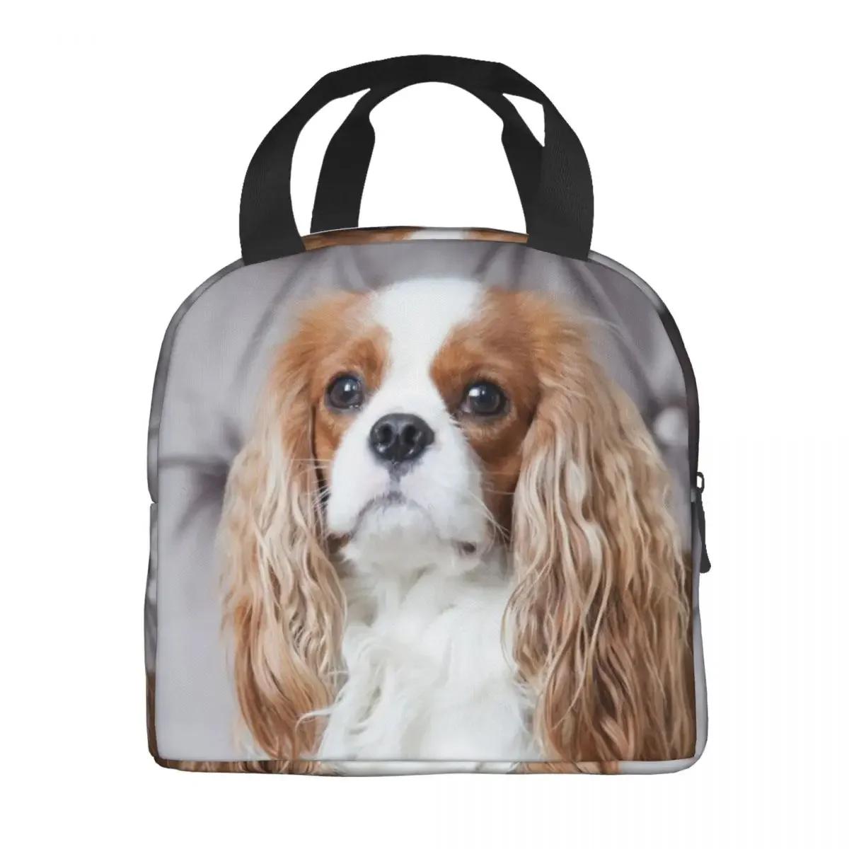 Custom Cavalier King Charles Spaniel Lunch Bag Women Cooler Thermal Insulated Lunch Box for Kids School Children