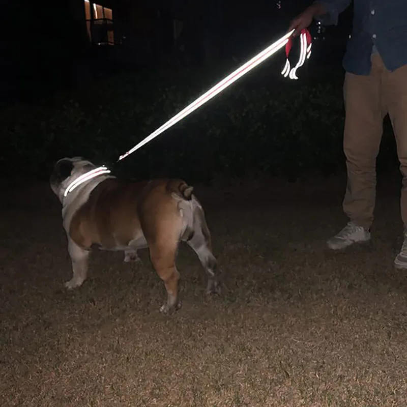 Correia de chumbo para cães e gatos, coleira de arnês, reflexão noturna, corda de reboque para animais, 1,2 m, 1,5 m, 1,8 m, corda de guarda para caminhar