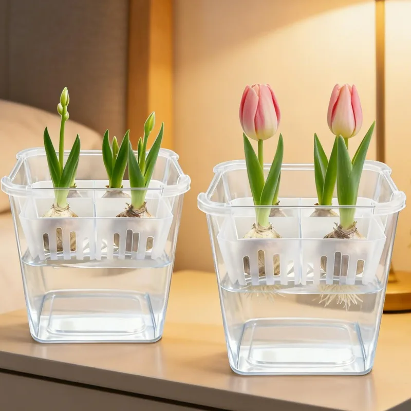 Tulip Bulb Hydroponic Planter Light Transmitting Flower Pots Four Compartment Inner Basket Self Watering PP Container for Garden