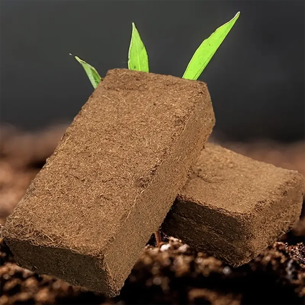 6pcs Natural Coconut Shell Fiber Bricks - Low EC And PH Balance, Very Suitable For Gardening And Soil Regulation, For Planting