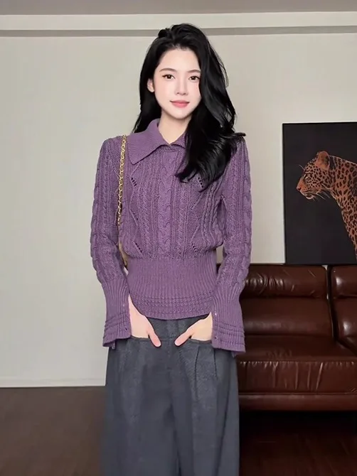 

Women's Long Sve Crew Ne Pullover Knitwear Purple Twisted Sweater Chic Early Autumn Lazy Sle Long Sve Knitted Top