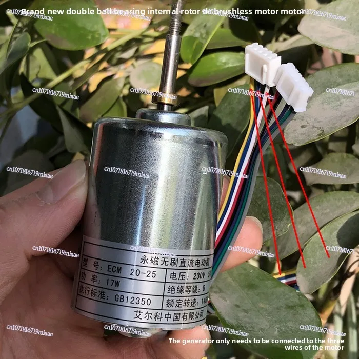 220V Double Bearing Internal Rotor DC High Voltage Brushless Motor Motor, High Voltage Brushless Generator