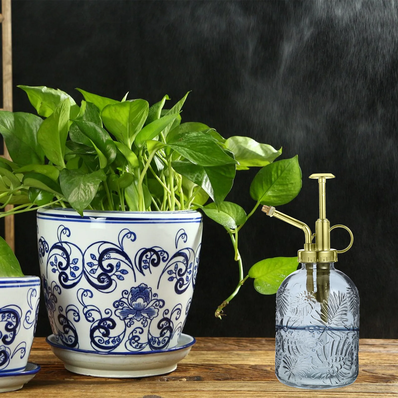 

Garden Sprayer Water Bottle Glass Small Watering Can Lightweight Refillable Portable for Plant Misting Flowers Indoor Outdoor