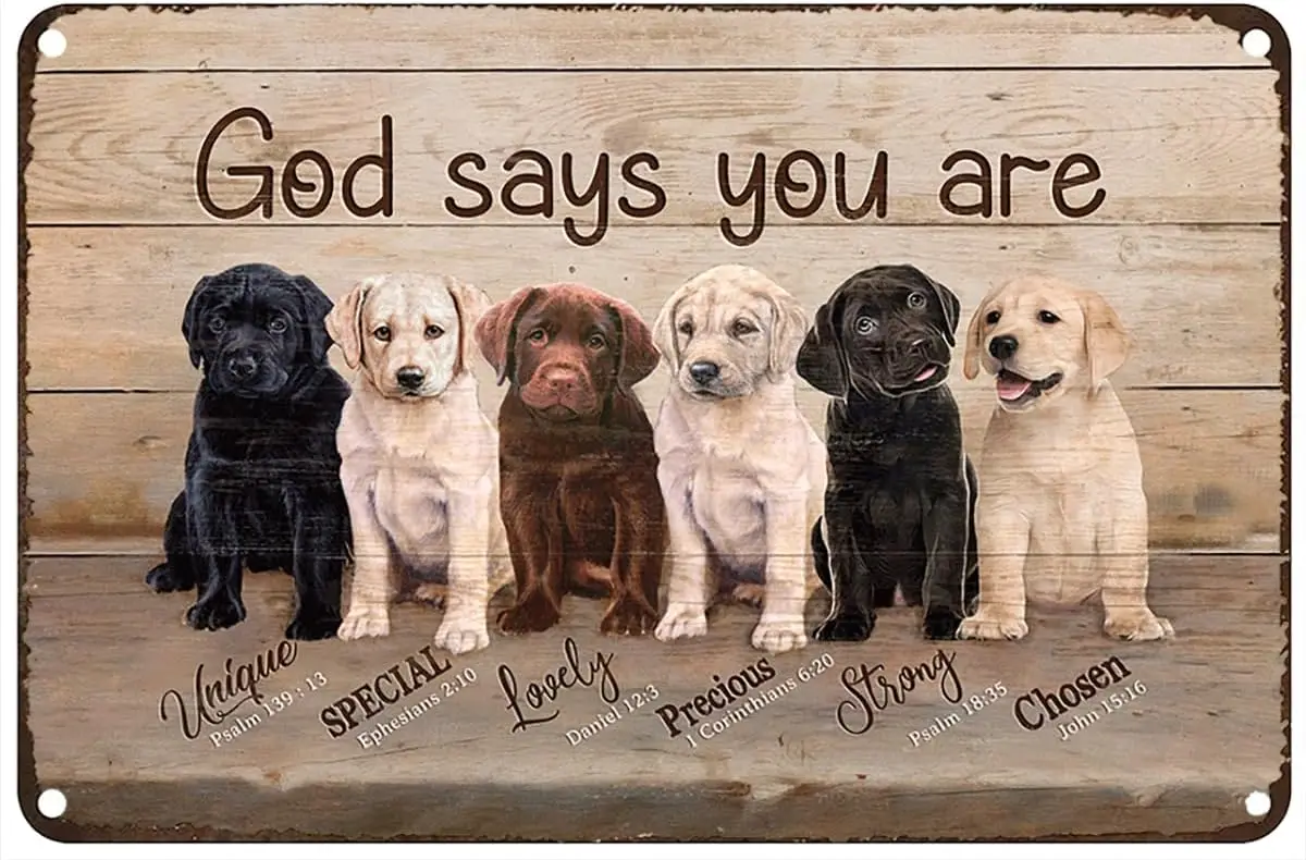 Vintage Metal Tin Sign Labrador Labrador Puppy Pets God Says You Are Dog Rustic Wall Decor For Home Bedroom Bar Cafe Club 8X12In