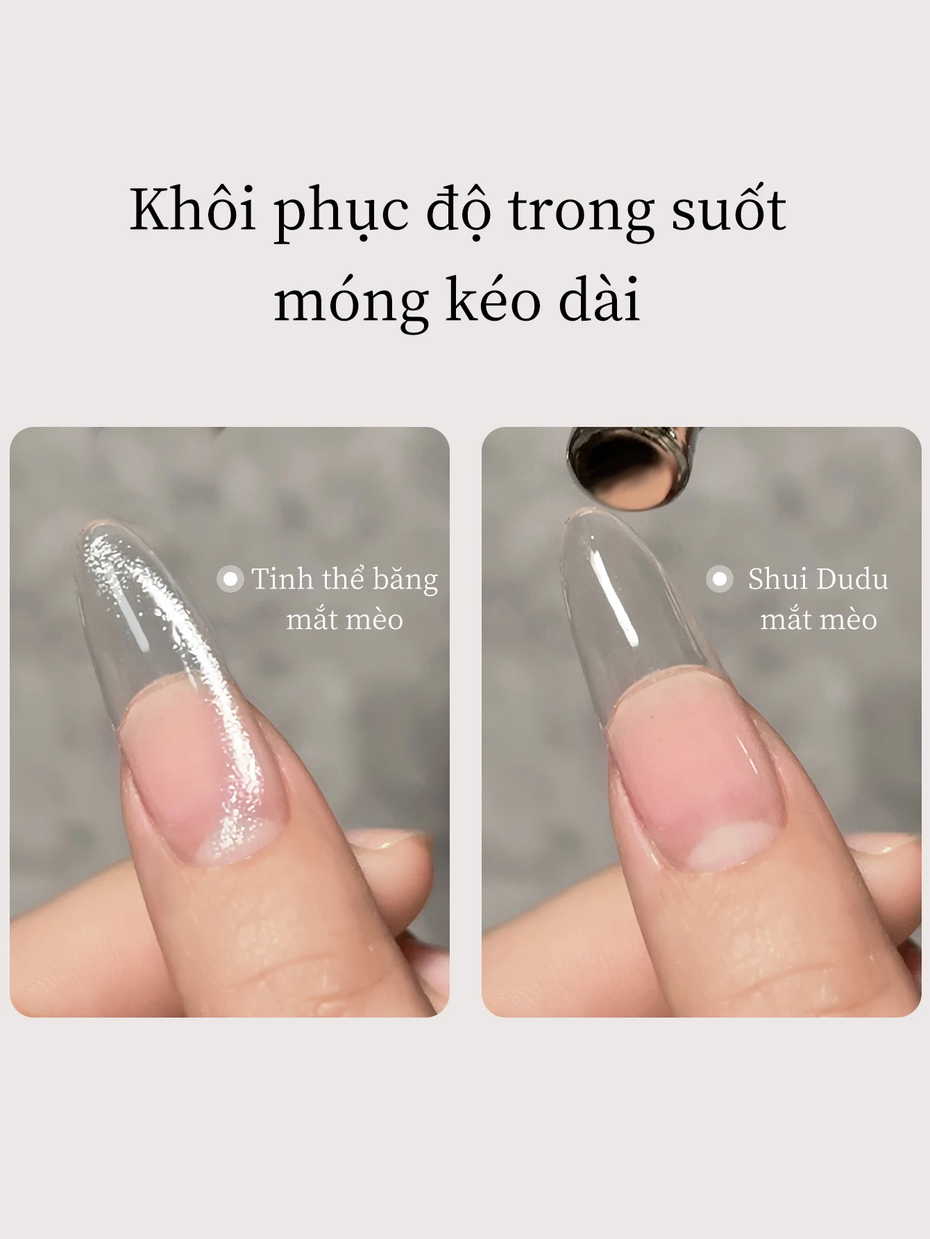 15ML shui Dudu And Ice Crystal cat Eye Nail Gel Set Semi Permanent Nail Art Soaking UV LED Nail Salon DIY