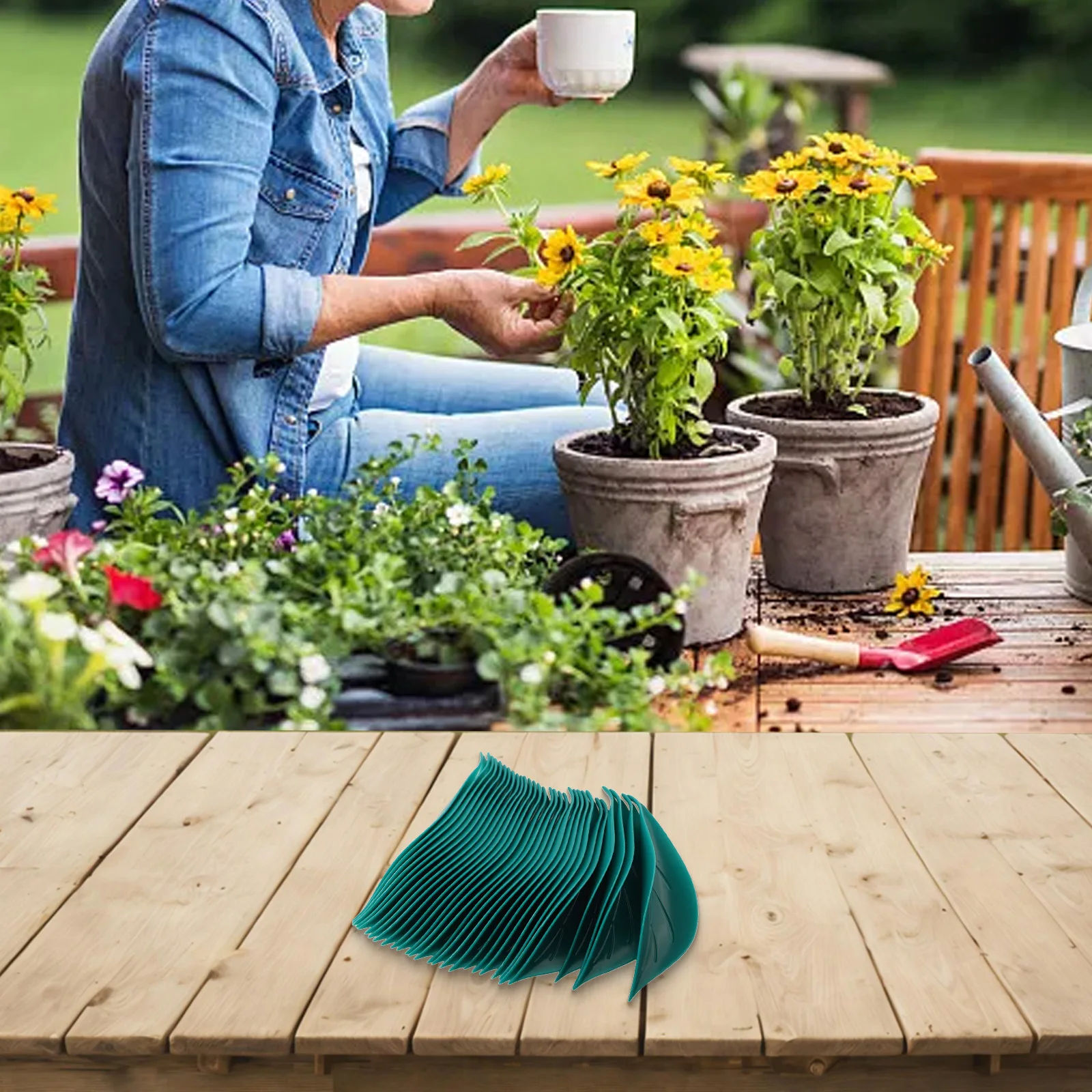 

For Indoor Plants For Outdoor Plants Plant Watering Device Indoor Outdoor Vigorous Plant Growth Simplify Gardening