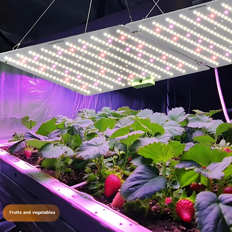 Full Spectrum Quantum Board Grow Light LED Panel AC100-277V 0-10V Dimmable Dual UV Red Switch for Indoor Hydroponic Cultivation