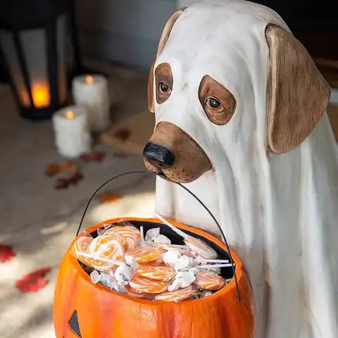 Halloween Hund Katt Ornament med Godisskål Halloween Pumpa Snackskål Ställ för Bus eller Treat Inomhus Utomhus Dekorationer 10 best sales godisbordsdekorationer - №5