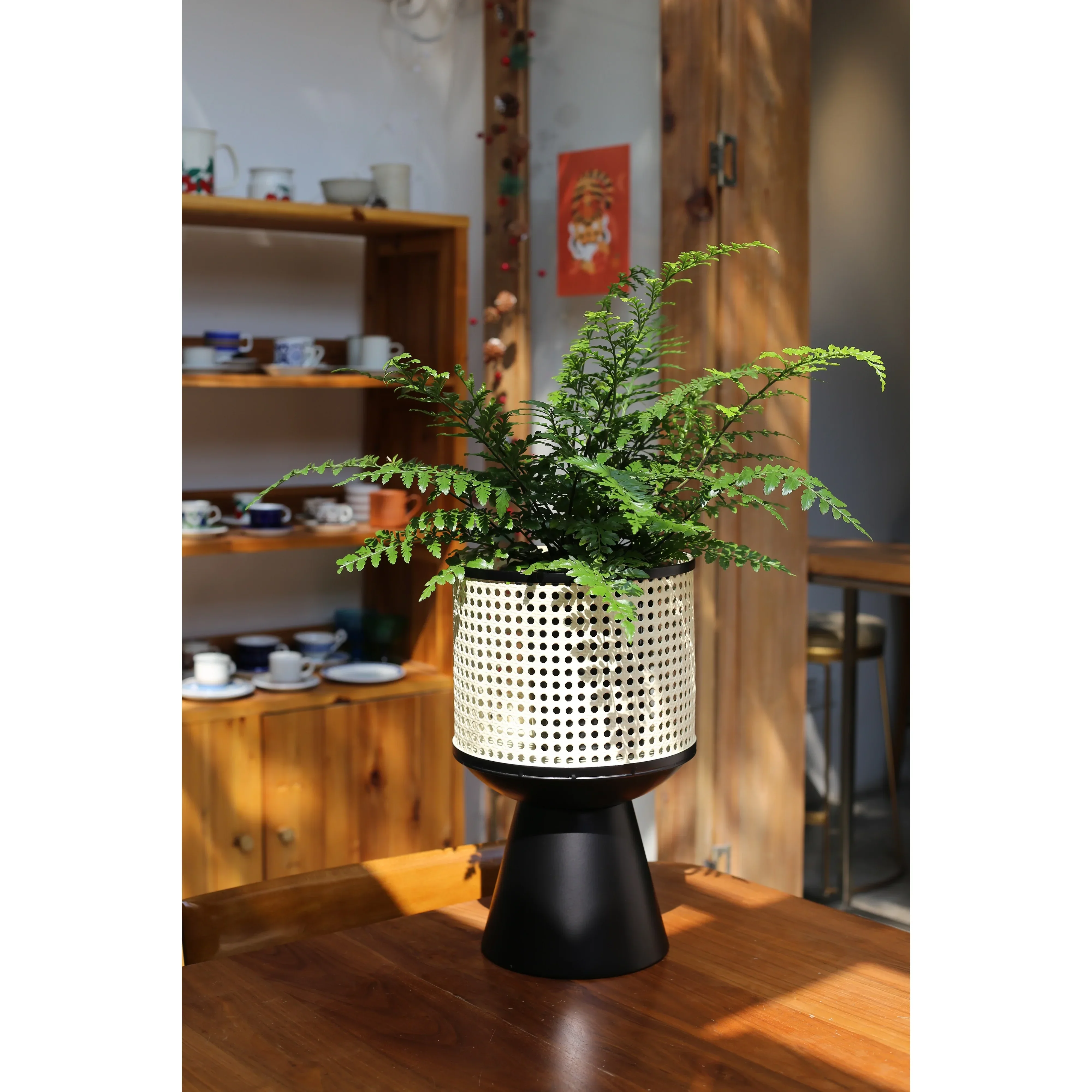 

Minimalist Japanese Wrought Iron Indoor Flower Stand Imitation Rattan Modern Living Room Sets Mobile Design Desktop Flowerpot