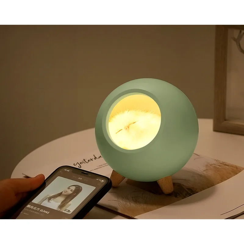 Casa para mascotas, Bluetooth, recargable, dormitorio, mesita de noche, lactancia, gato creativo, atmósfera de escritorio, luz nocturna