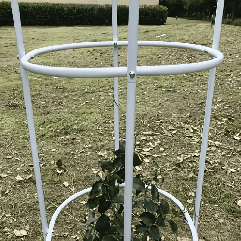 Metall-Gartenspalier Pflanzenstütze Kletterblumen-Gestell Höhenverstellbar Hochwertige Außendekoration für den Hof Kletterhilfe – Detail 5