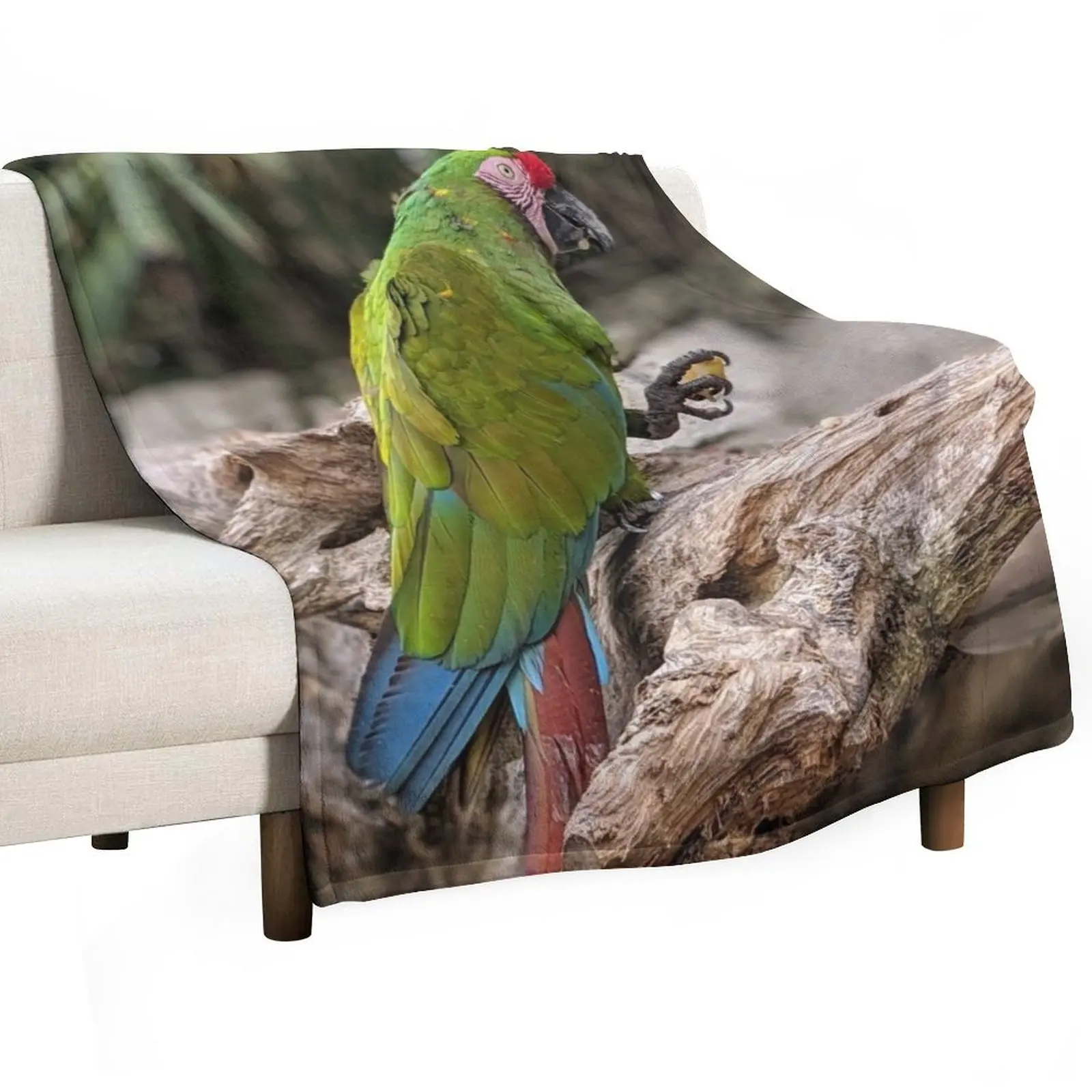 Great Green Macaw Throw Blanket Blankets Sofas Of Decoration Nap Sofa Cute Tourist Beautifuls Blankets