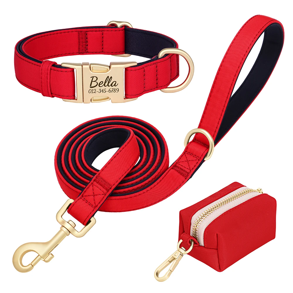 Personalized Dog Collar Leash - Pet Supplies Plus review and price