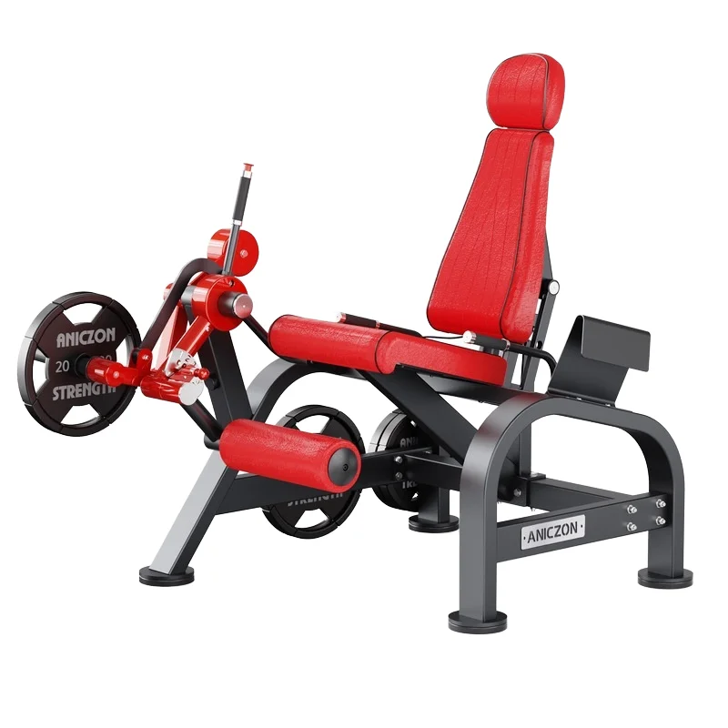 

Equipment Seated Leg Extension Trainer Steel Gym Muscle Strength Equipment for Bodybuilding Kick and Leg Curl