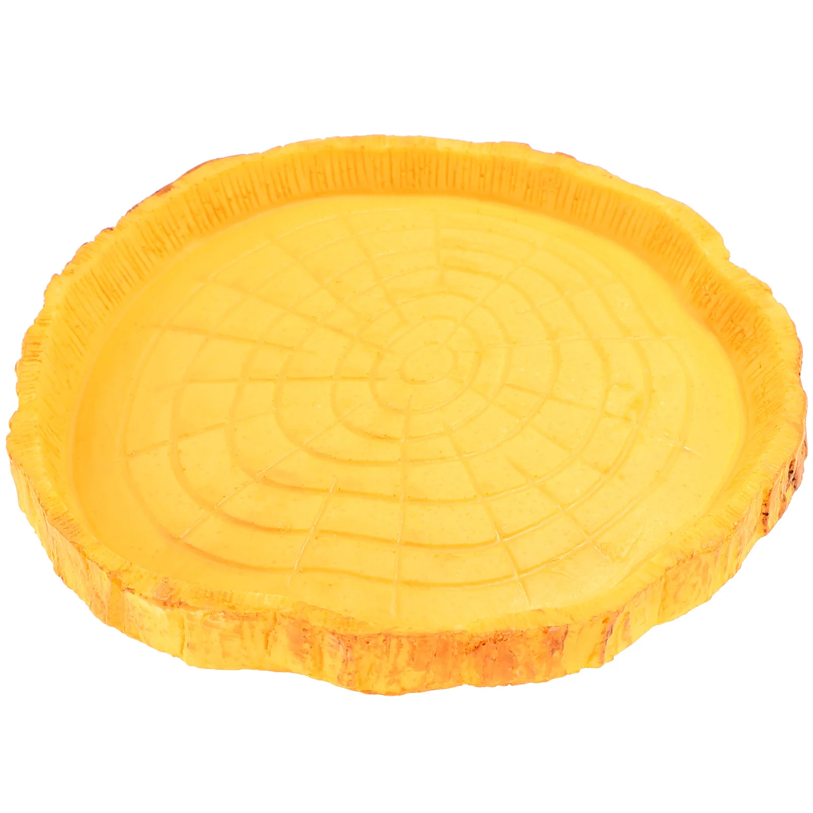 

Reptile Feeding Bowl Pet Dish Large Resin Food Holder Durable Stable Wear Resistant Crawler Plate
