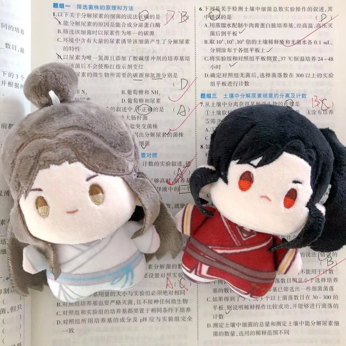 Anime Tian Guan Ci Fu/Heaven Official's Blessing Xie Lian Hua Cheng Cosplay Cotton Doll Printed Cute Pendant  Ambitus Gift