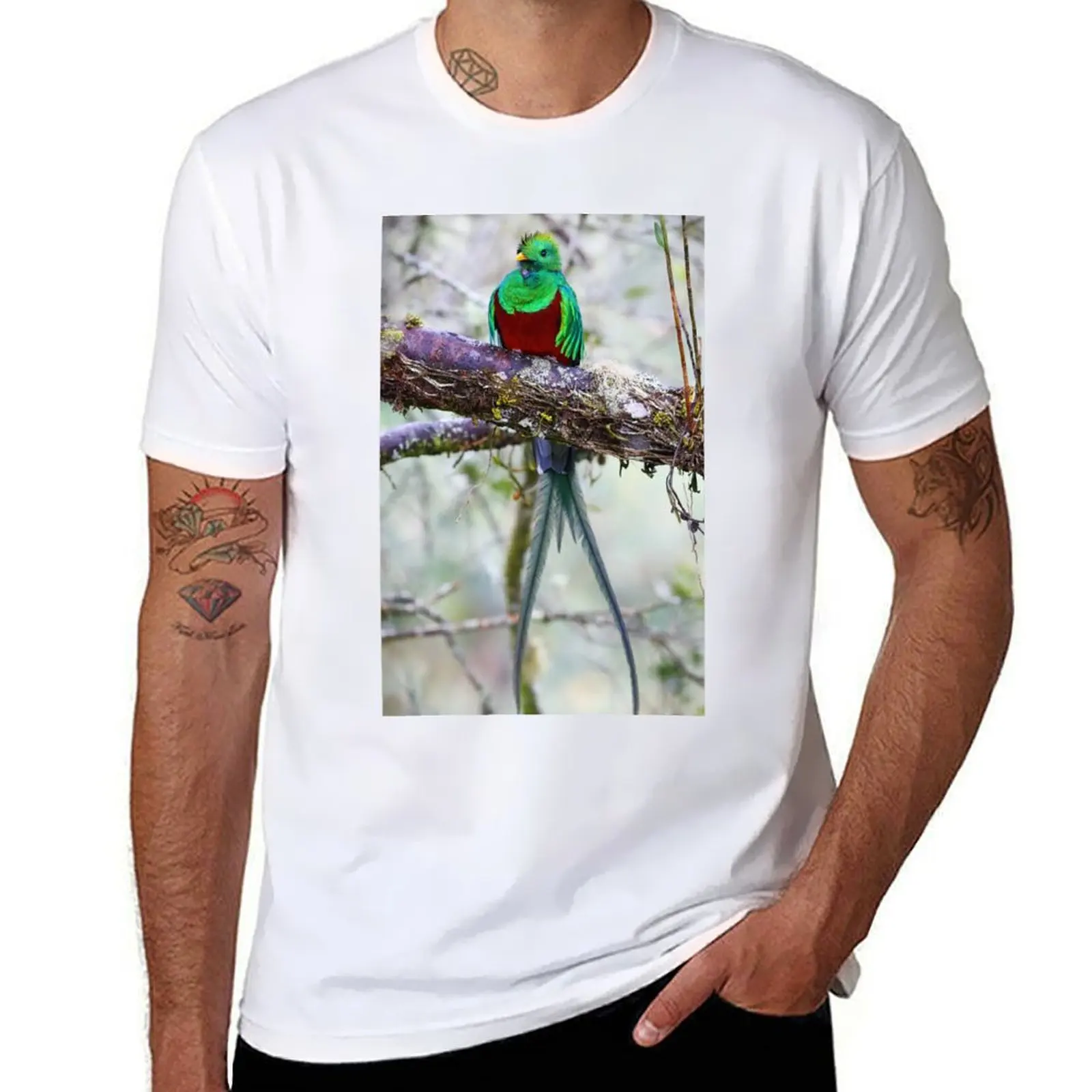 

Resplendent Quetzal T-Shirt Performance Workout Short Sleeve Tee