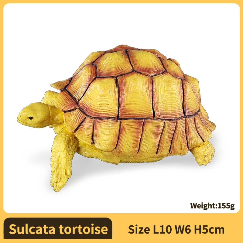 PVC-schildpadfiguren Dierenvorm Gedetailleerde sculptuur Ster-schildpadmodelfiguren Actiefiguren Voor educatief doel