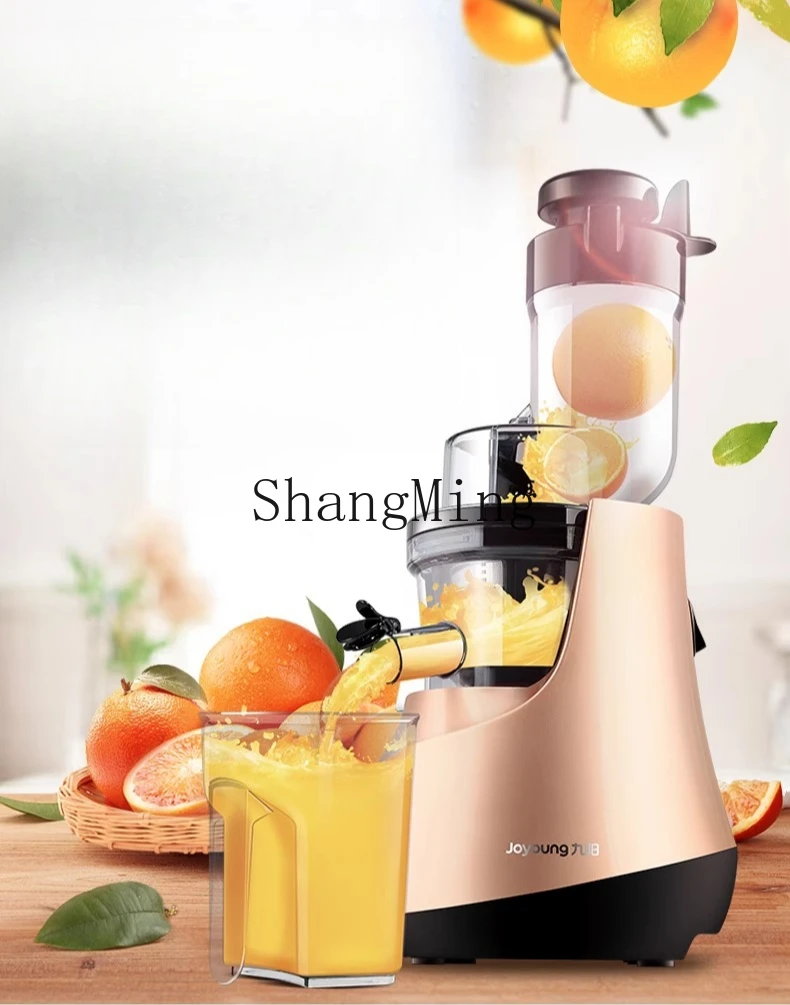 ZYY Macchina per succhi fritti automatica per frutta e verdura per uso domestico multifunzionale di grosso calibro